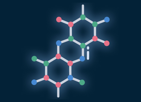 Complex lipids in systems metabolism